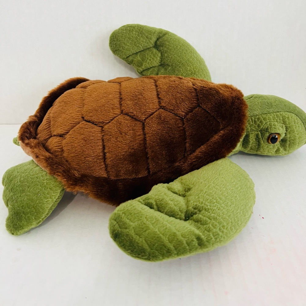 Destination Nation Turtle Plush - Picture 2 of 7